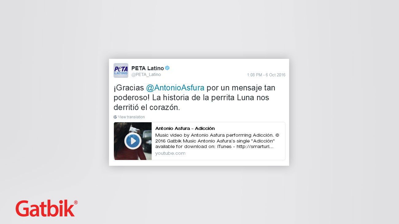 PETA Latino shares "Adicción" music video by Antonio Asfura to raise awareness against animal abuse.